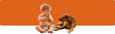 Hund und Baby – So gelingt das harmonische Zusammenleben