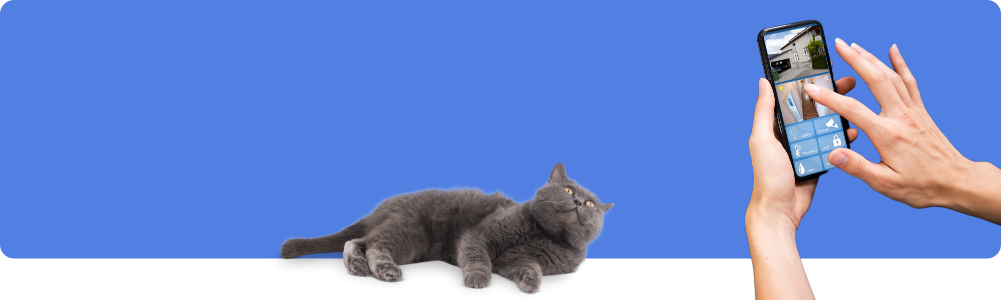 Warum eine Haustier-Überwachungskamera sinnvoll ist