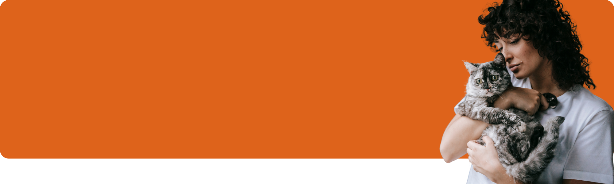 Die Geschichte der Domestikation von Hunden & Katzen