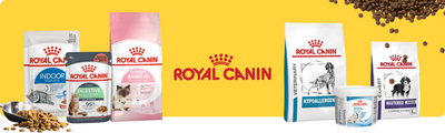 Royal Canin: TOP-Haustiermarke bei All4Pets