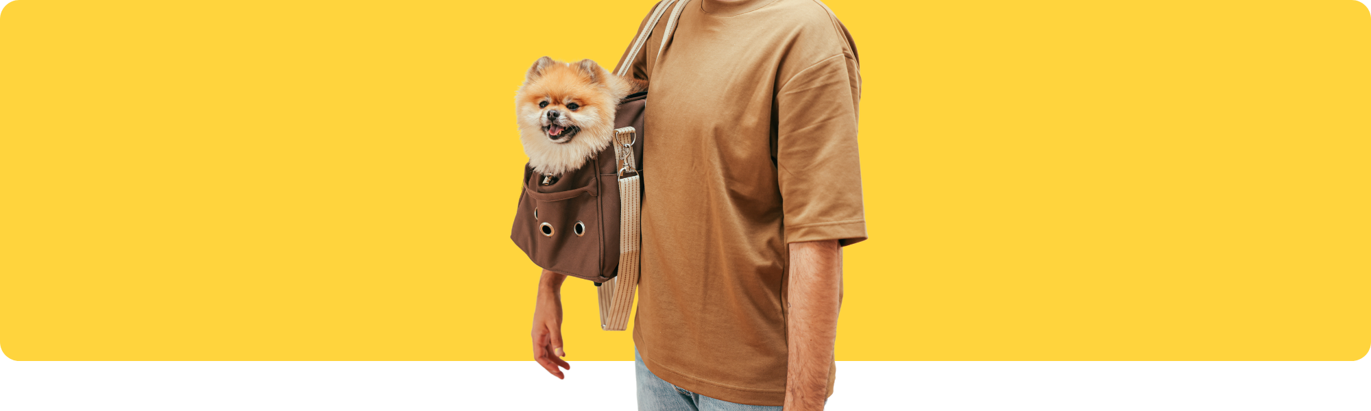 Reisen mit Hund: Die perfekte Reisetasche für deinen Vierbeiner