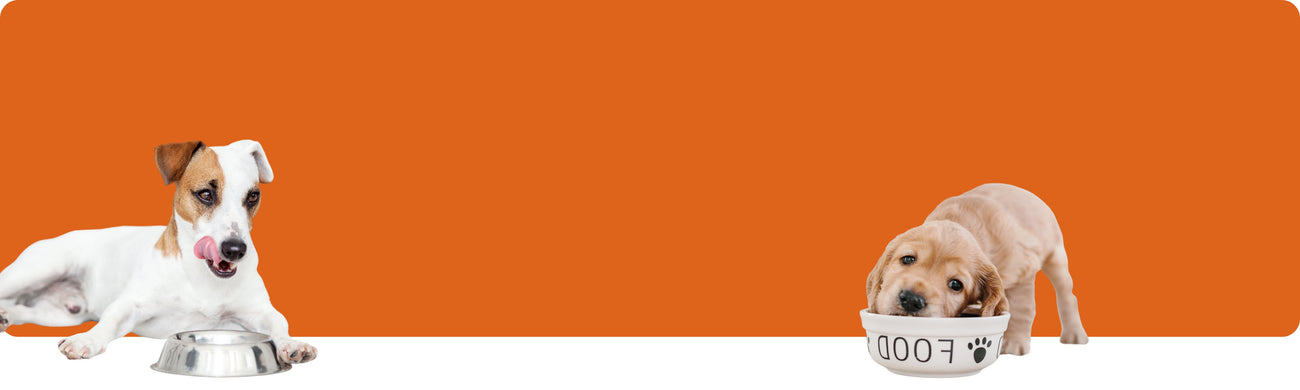 Futter- und Wassernäpfe für Hunde