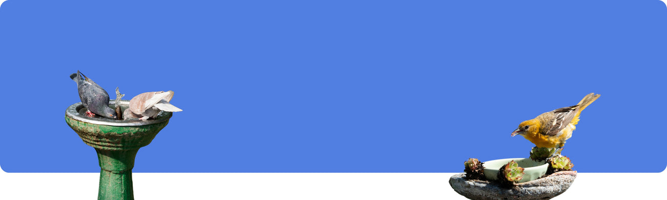 Futernäpfe und Tränken