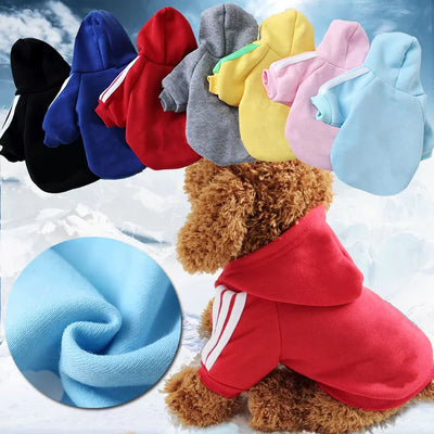 Pull d'hiver pour chiens