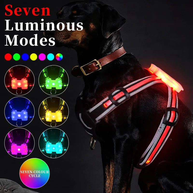Harnais pour chien LED GlowGuard