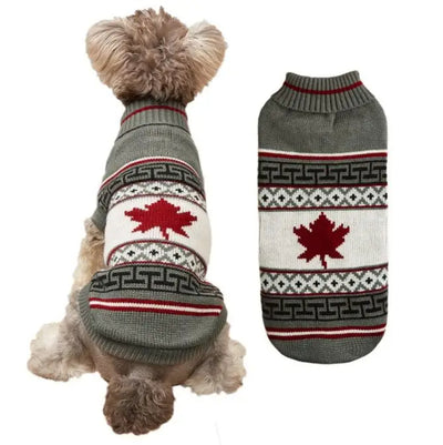 Pull de Noël pour chiens