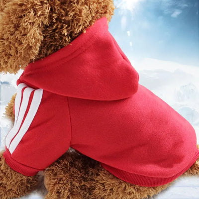 Pull d'hiver pour chiens