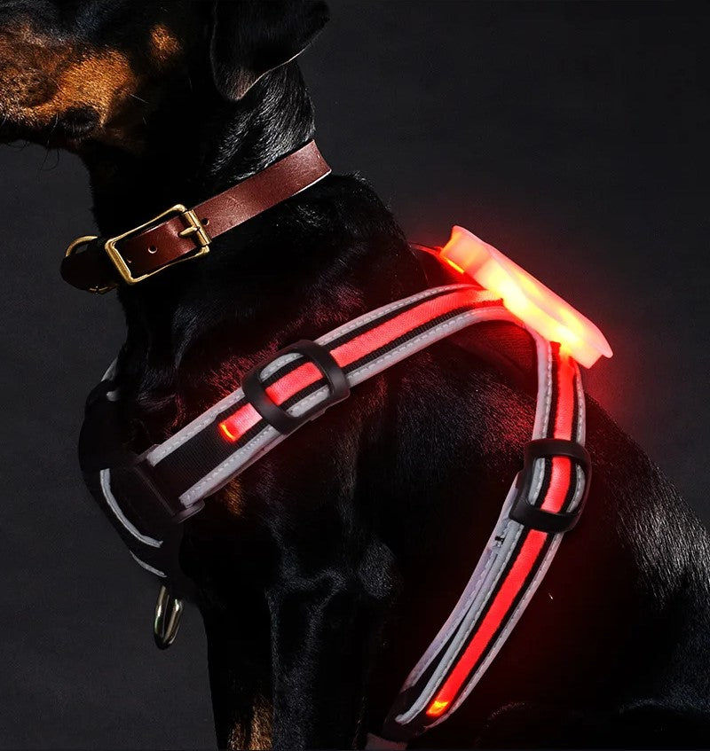 Harnais pour chien LED GlowGuard