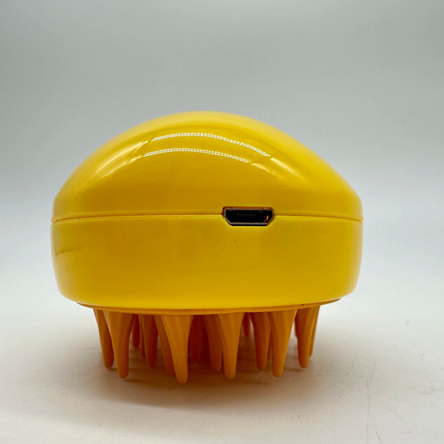 Brosse de massage à vapeur SpaPaws