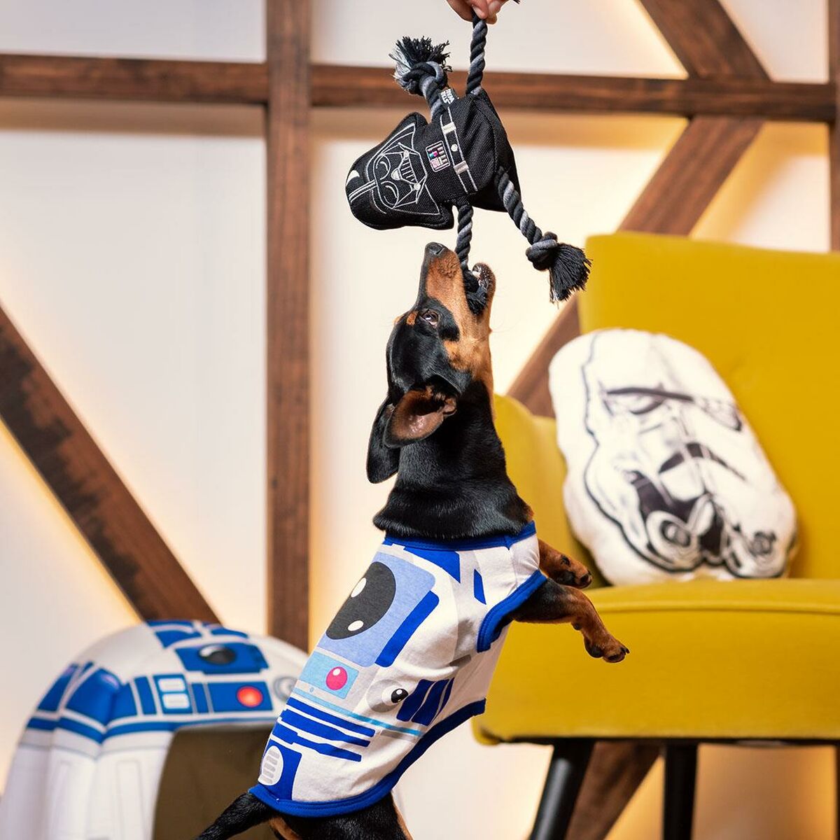 V5H542467C67FFD51E77F661E650E089C3CR5145236P10