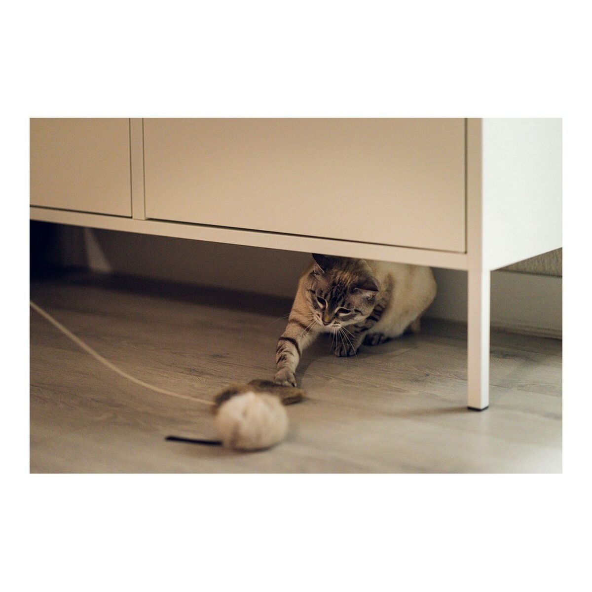 V10H116D63D9AB48F09DCFB032DED6C63E44R5597786P6