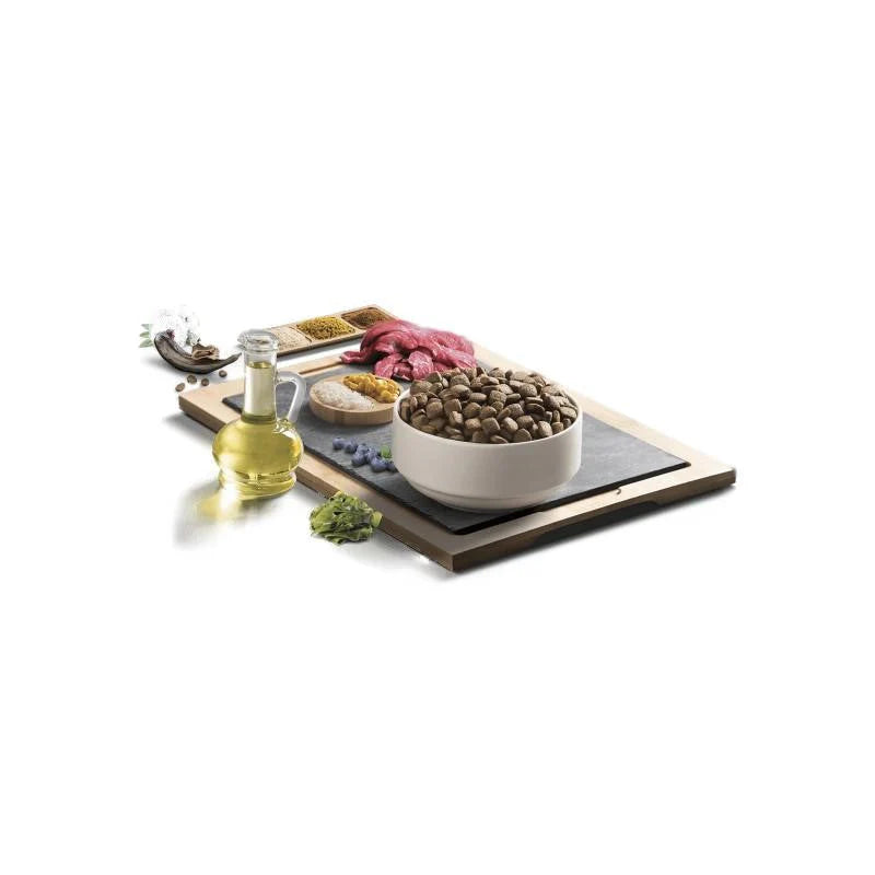 Chiot BonaCibo - Agneau