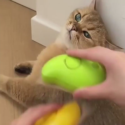 Brosse de massage à vapeur SpaPaws