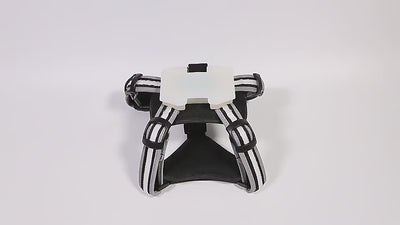 Harnais pour chien LED GlowGuard