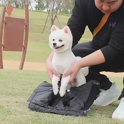 Veste de protection hivernale pour chiens