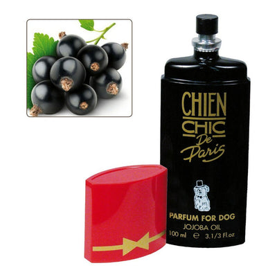 Parfüm für Haustiere Chien Chic Hund Schwarze Johannisbeere 100 ml