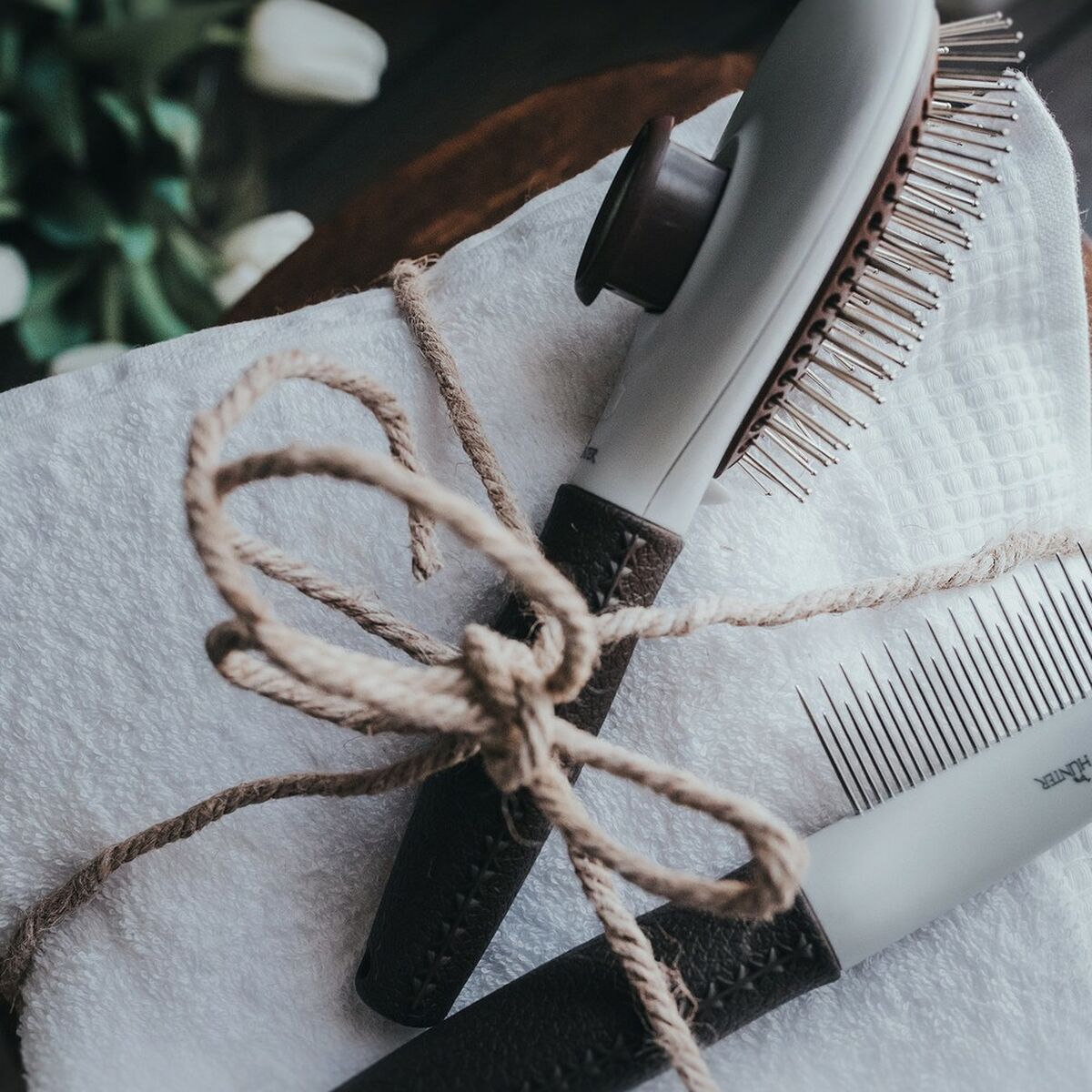 Brosse à Cheveux Hunter Marron Plastique Râteau