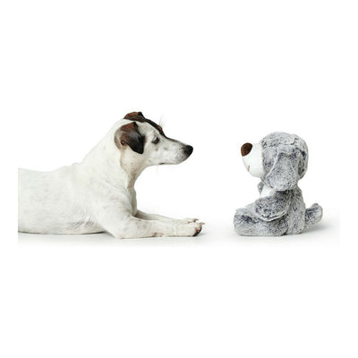 Jouet pour chien en peluche Hunter Faro Gris Polyester Chien