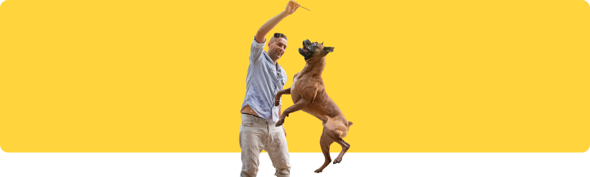 So stärkst du die Bindung zu deinem Hund: Top-10 Tipps
