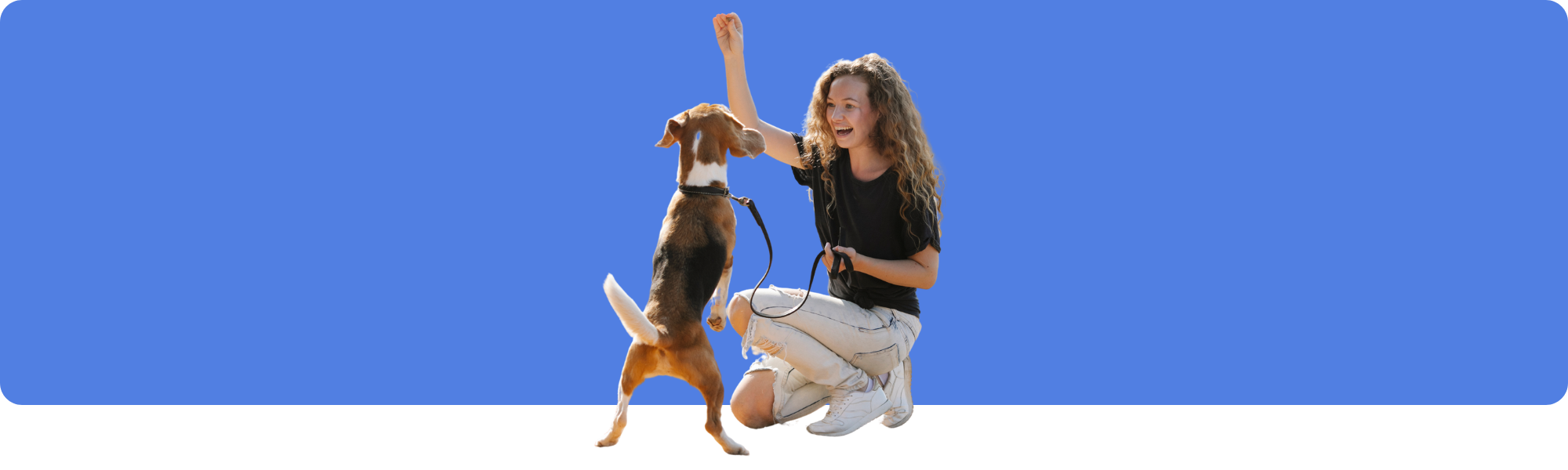 Hundetraining: Positive Verstärkung erklärt – Tipps & Methoden