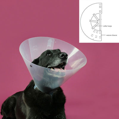Collier de protection Isabelino pour chiens KVP Betsy Transparent (33-41 cm)