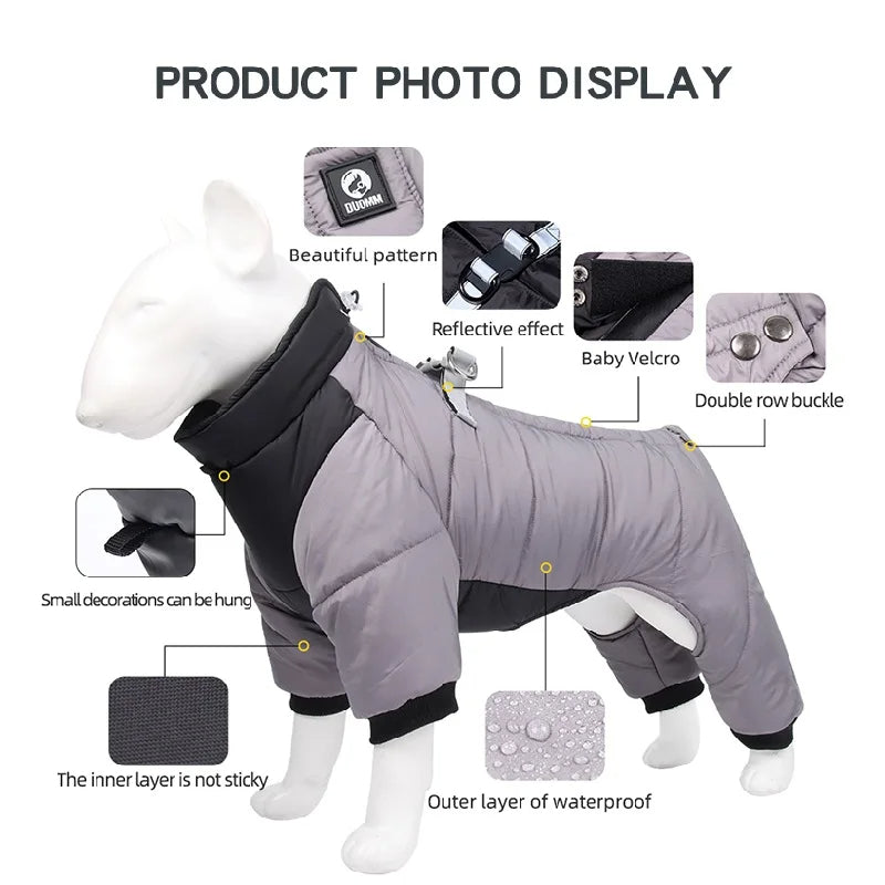 winter protection jacket for dogs