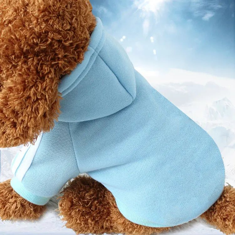 winter sweaters for dogs