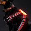 GlowGuard LED Dog Harness