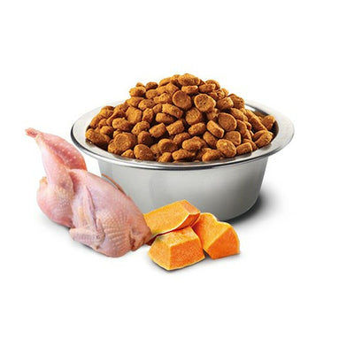 Aliments pour chat Farmina   Citrouille Adulte Poulet 1,5 Kg