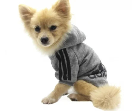 winter sweaters for dogs