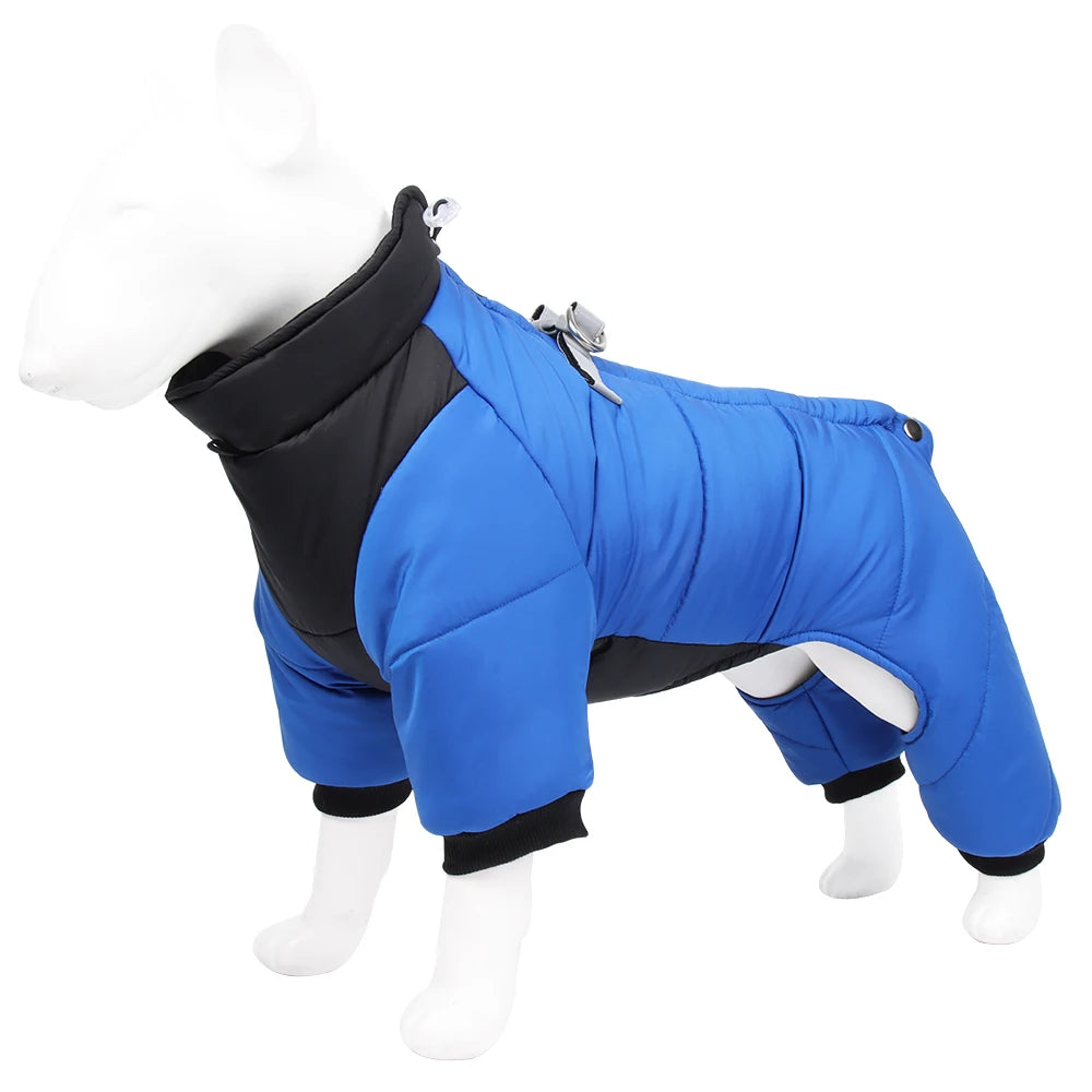 winter protection jacket for dogs