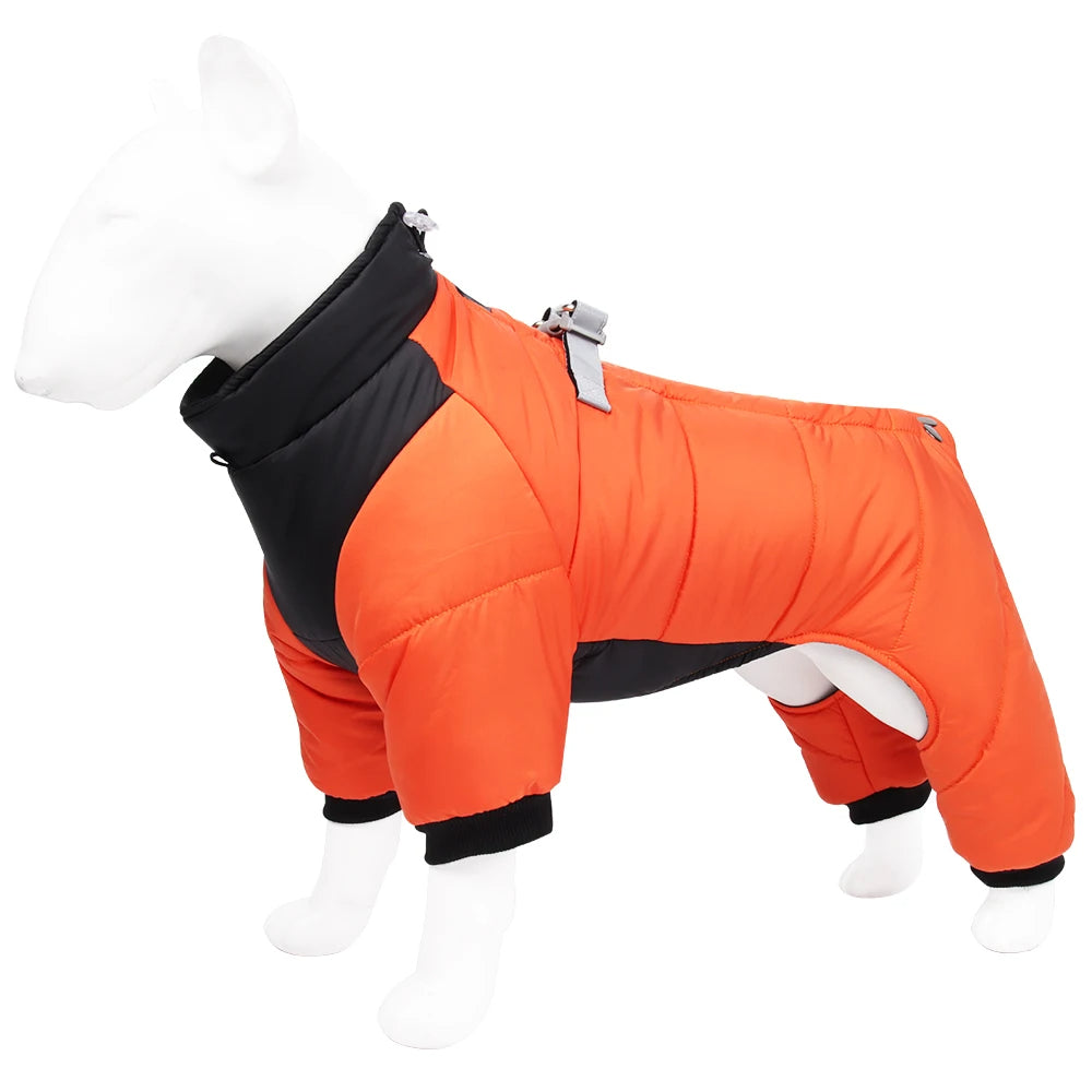 winter protection jacket for dogs