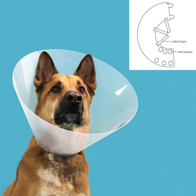 Collier de protection Isabelino pour chiens KVP Quick Fit Transparent (45-56 cm)