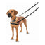 Dog Harness Company of Animals Halti Black/Red Size S (36-64 cm)