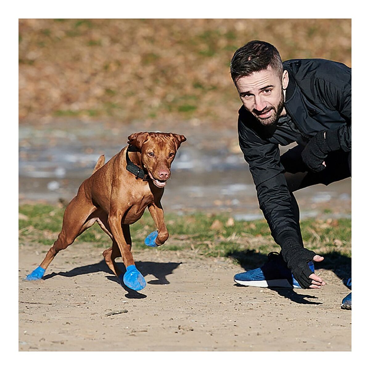 Stiefel Pawz Hund 12 Stück Größe XL grün