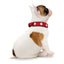 Dog collar Hunter Swiss Red/Black 35-43 cm