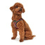 Hundegeschirr Hunter Hilo-Comfort Rot S (42-48 cm)