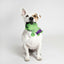 Dog toy The Avengers Green 100 % polyester