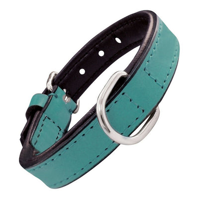 Dog collar Gloria Padded Turquoise (50 x 2,5 cm)