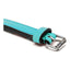 Collier pour Chien Gloria Rembourré Turquoise (50 x 2,5 cm)