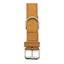 Dog collar Gloria Oasis Yellow (1,5 x 40 cm)