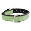 Collier pour Chien Gloria Rembourré Vert (35 x 1,5 cm)