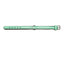 Collier pour Chien Gloria Rembourré Vert (35 x 1,5 cm)