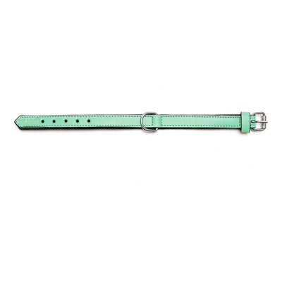 Collier pour Chien Gloria Rembourré Vert (35 x 1,5 cm)