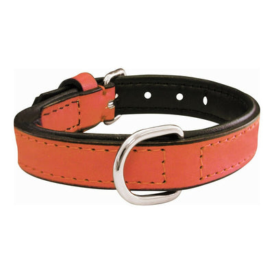 Dog collar Gloria Padded Coral (50 x 2,5 cm)