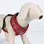 Dog Harness Mickey Mouse XS/S Black