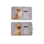 Dog Carpet Mascow 23 23 Grey 45 x 0,5 x 69 cm (12 Units)